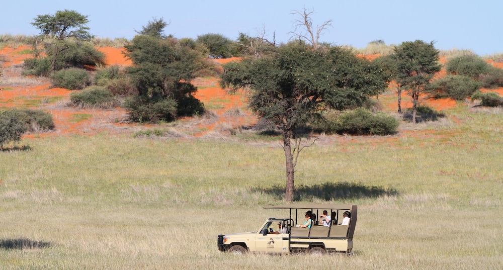 Intu Africa-Zebra Kalahari Lodge 39/52
