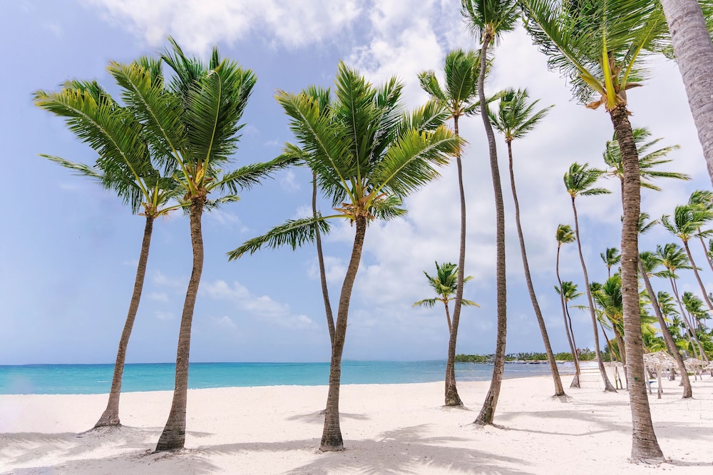 Jewel Palm Beach Resort Spa 45/48