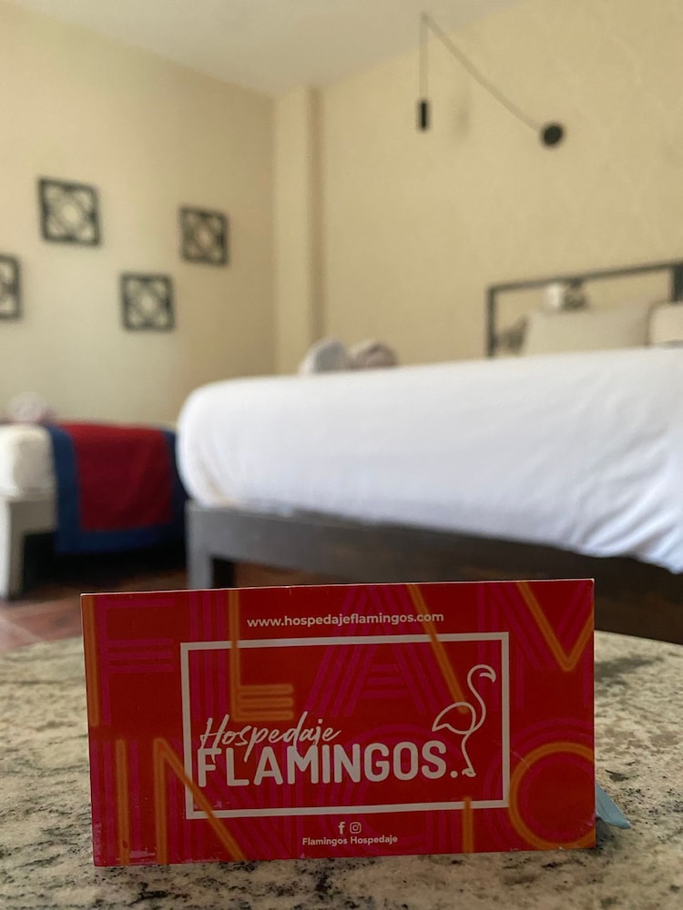 Hotel Flamingos 33/47