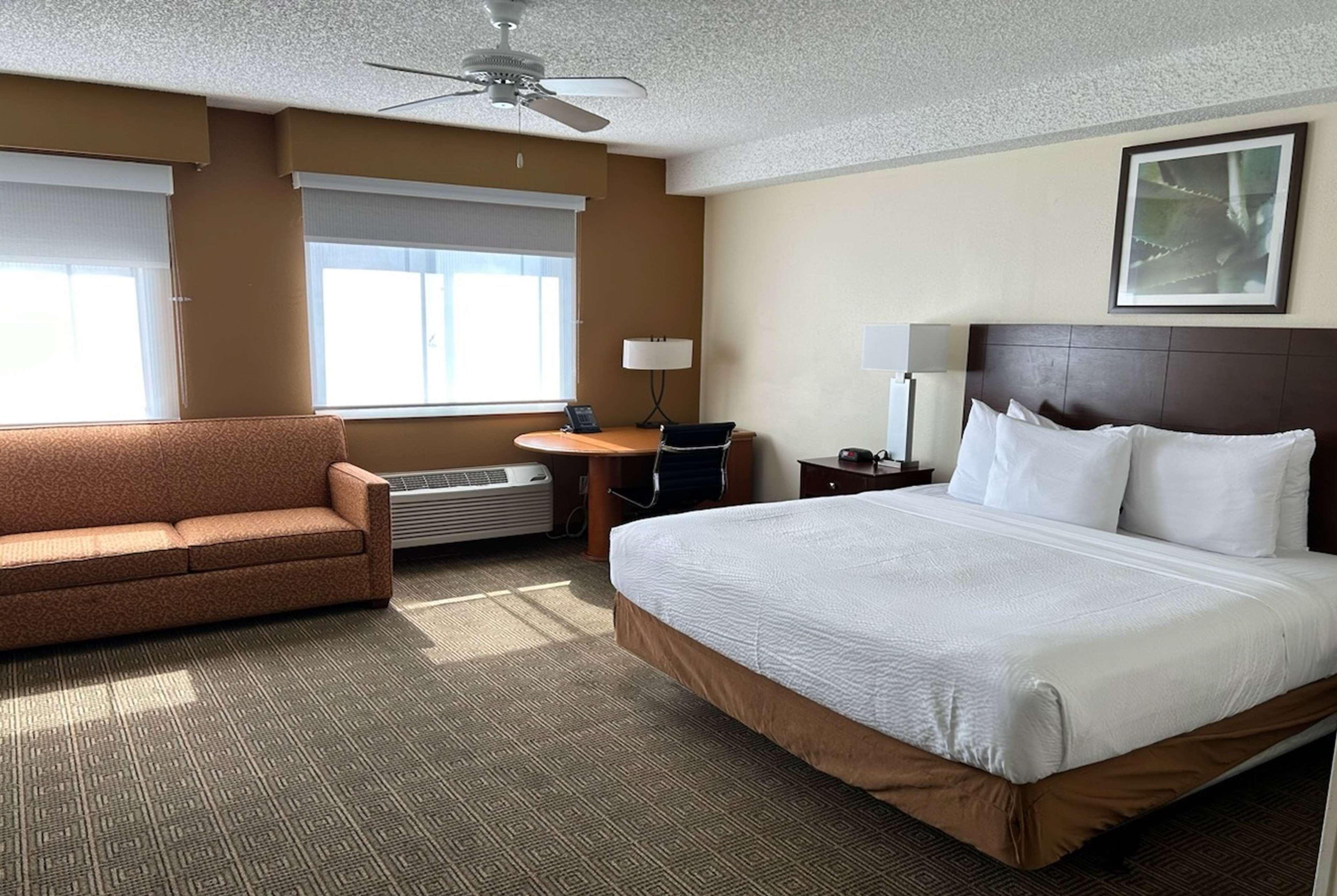 Suite, King Bed
