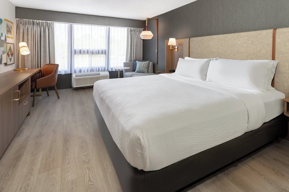 Standard, King Bed, Allergy Friendly