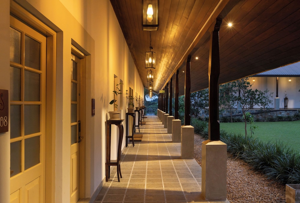 Simpsons Forest Hotel 14/41