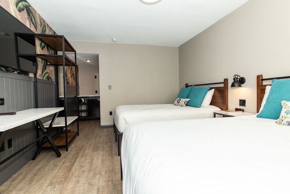 Magnolia Tree Hotel 11/31