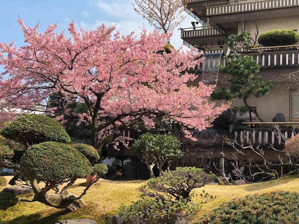 Atami Kinjokan 40/43