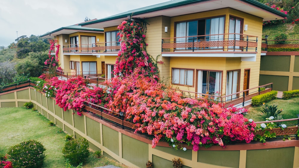 Hotel Ficus Monteverde 13/74