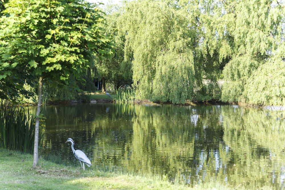 Champneys Springs 15/51