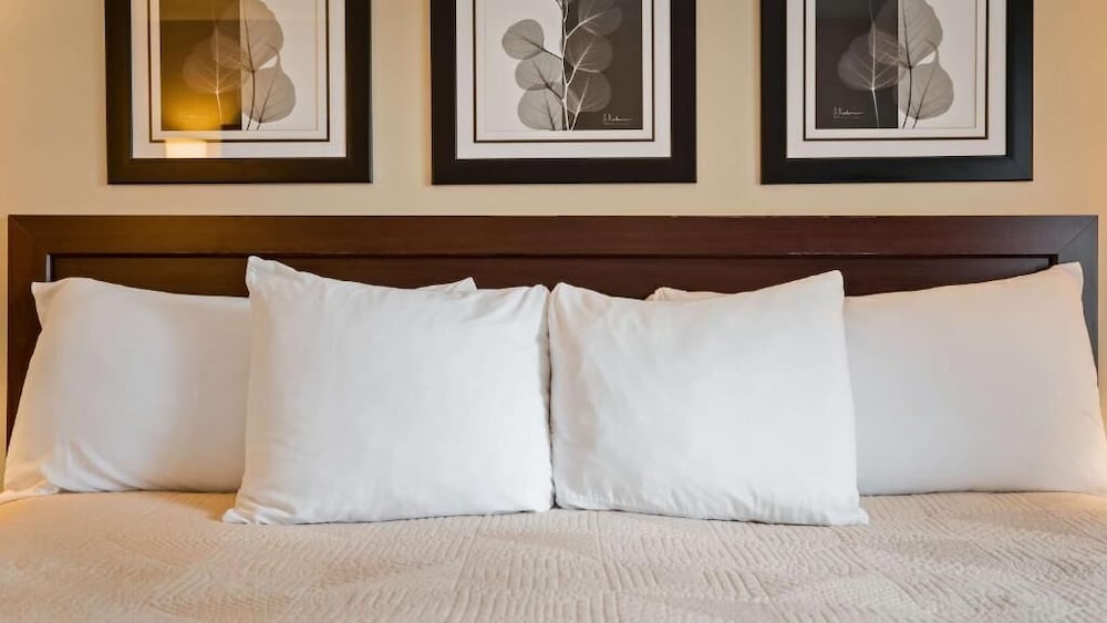 Best Western Silver Fox Inn 19/40