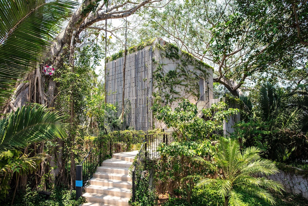 W PUNTA DE MITA 9/82