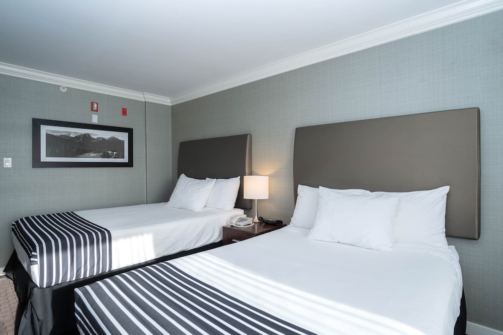 Sandman Hotel Red Deer 8/46