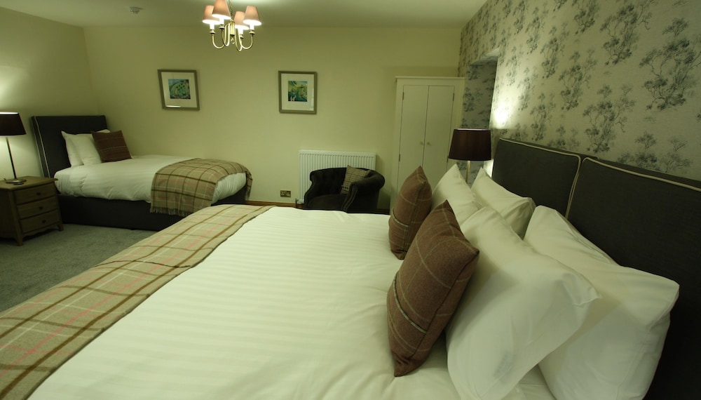 Family, 1 King and 1 Single Beds