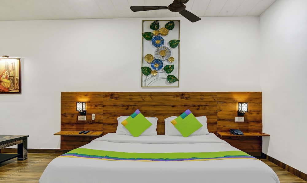 Treebo Trend Oak Tree 19/35