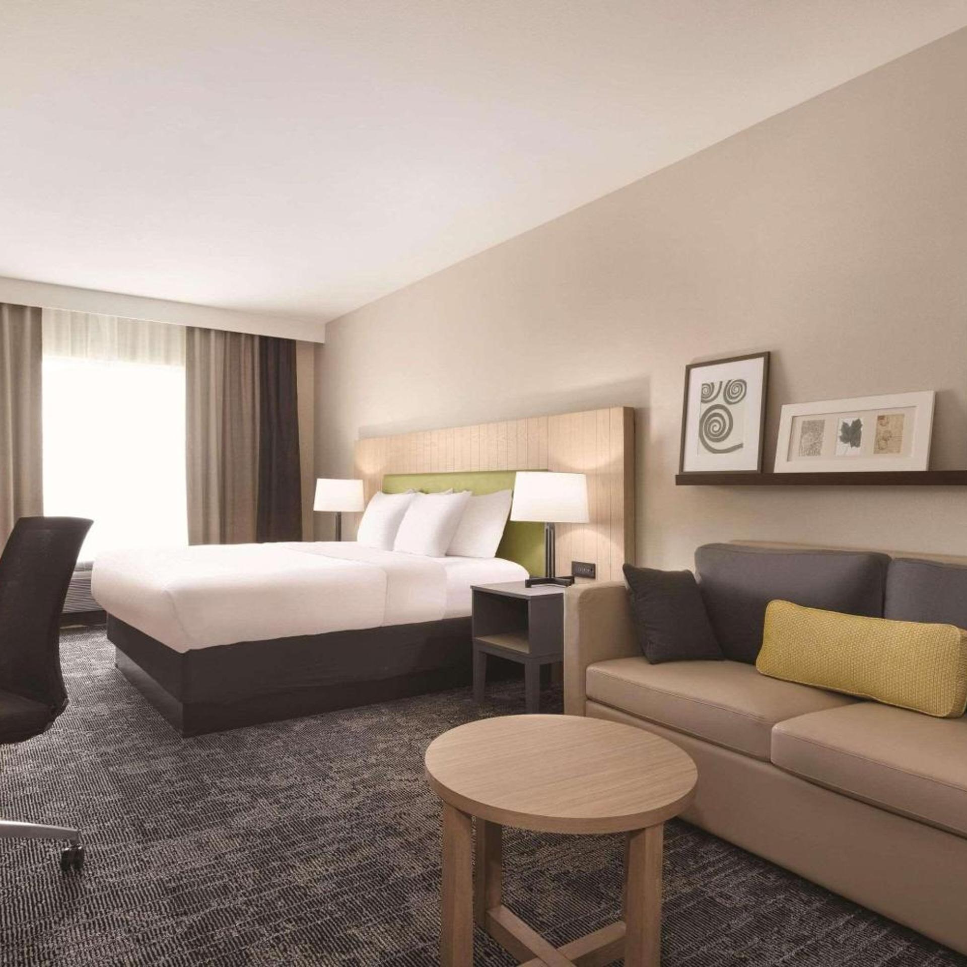Studio, Suite, King Bed, Sofa