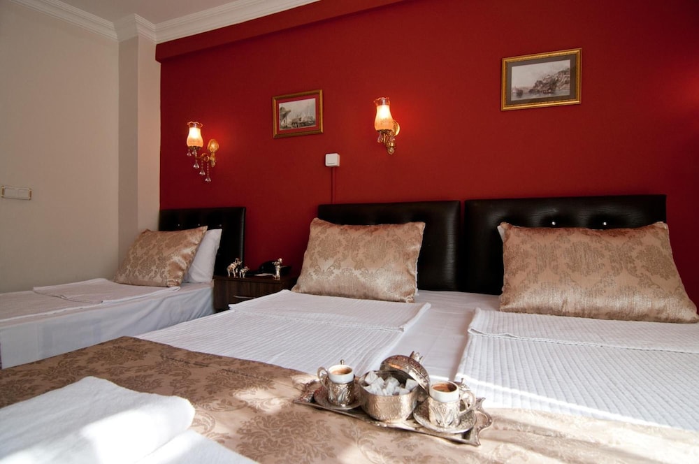 Magnificient Hotel Sultanahmet 23/72