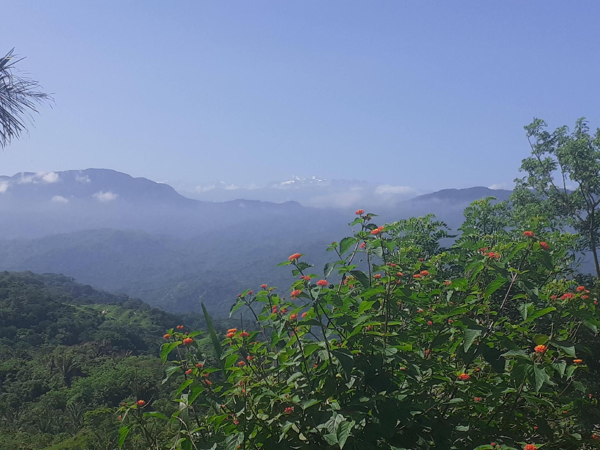 La Cima Tayrona 21/31