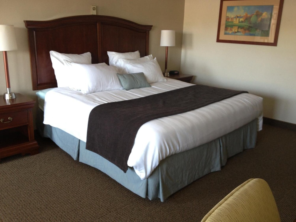 Holiday Hill Inn & Suites 17/61