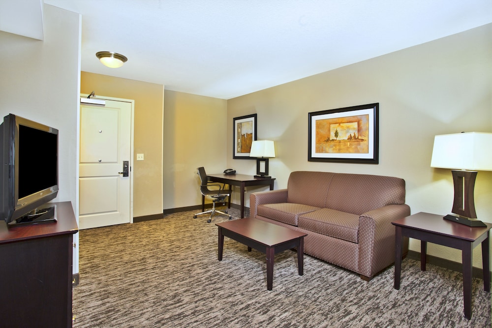 Holiday Inn & Suites Green Bay Stadium 24/39