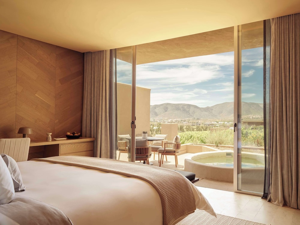 Banyan Tree Veya Valle de Guadalupe 38/91