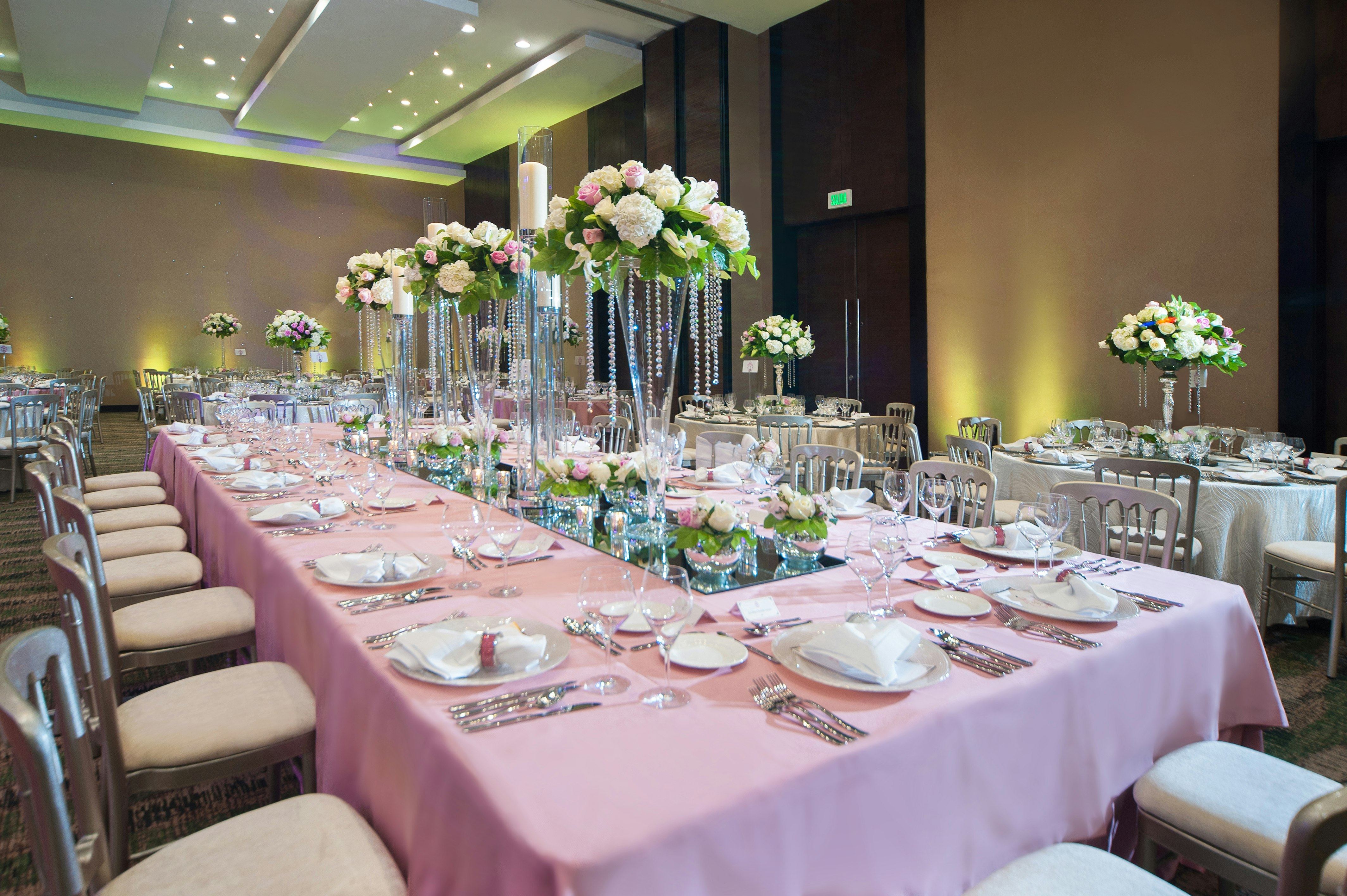 Embassy Suites By Hilton Santo Domingo 27/50