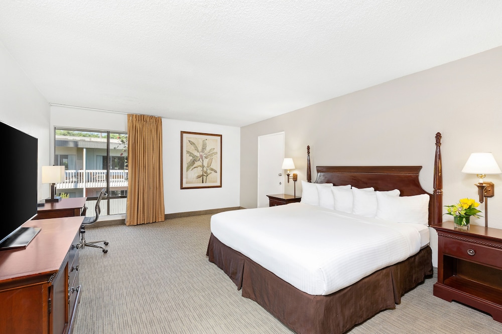 The Anaheim Hotel 26/74