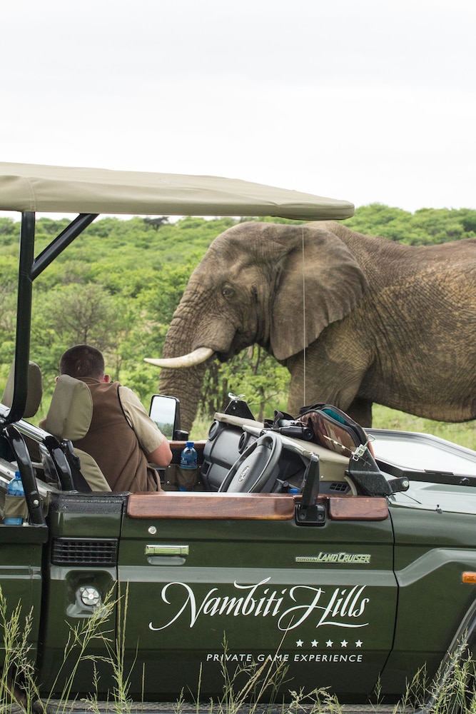Nambiti Hills Private Game Lodge 37/50