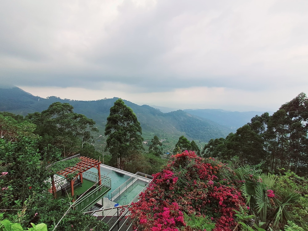 Fragrant Nature Munnar 41/50