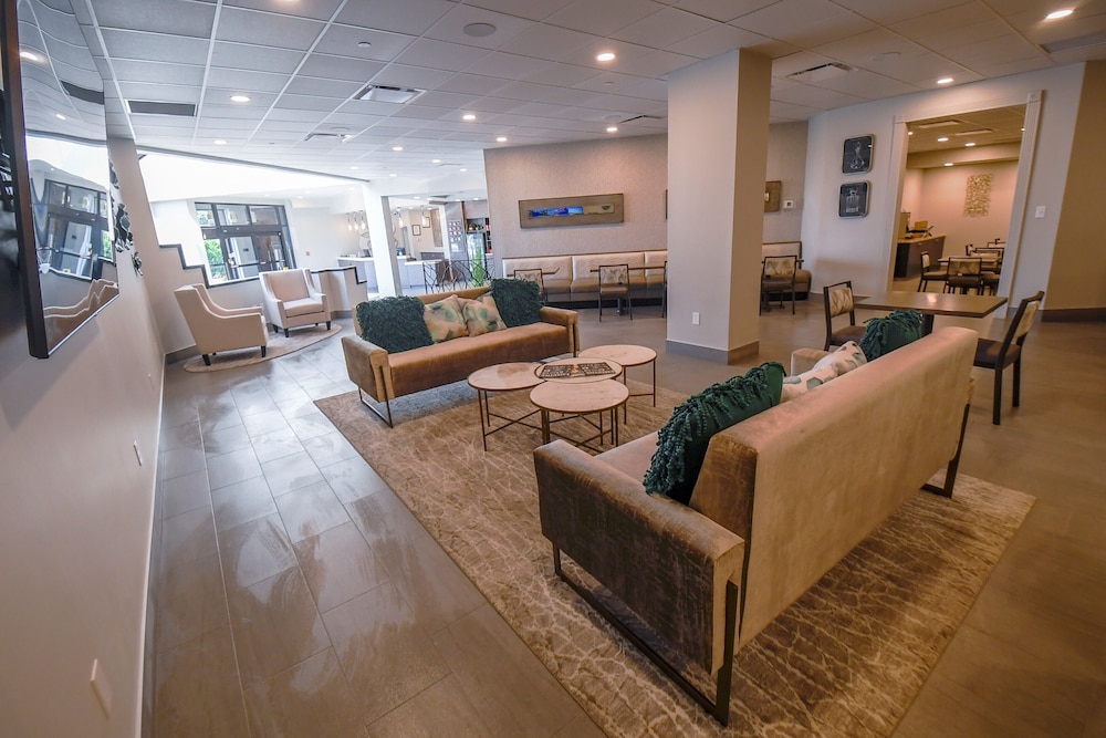 Euro Suites Hotel 29/52