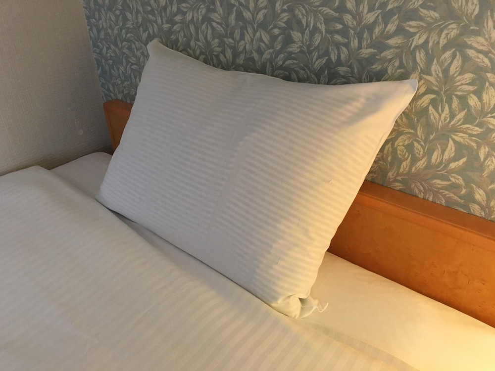 Hotel Emisia Tokyo Tachikawa photo5
