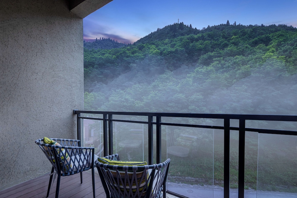 Hilton Garden Inn Jiuzhaigou China 27/51