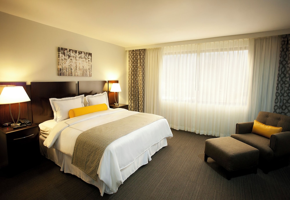 Hotel Los Andes 14/50