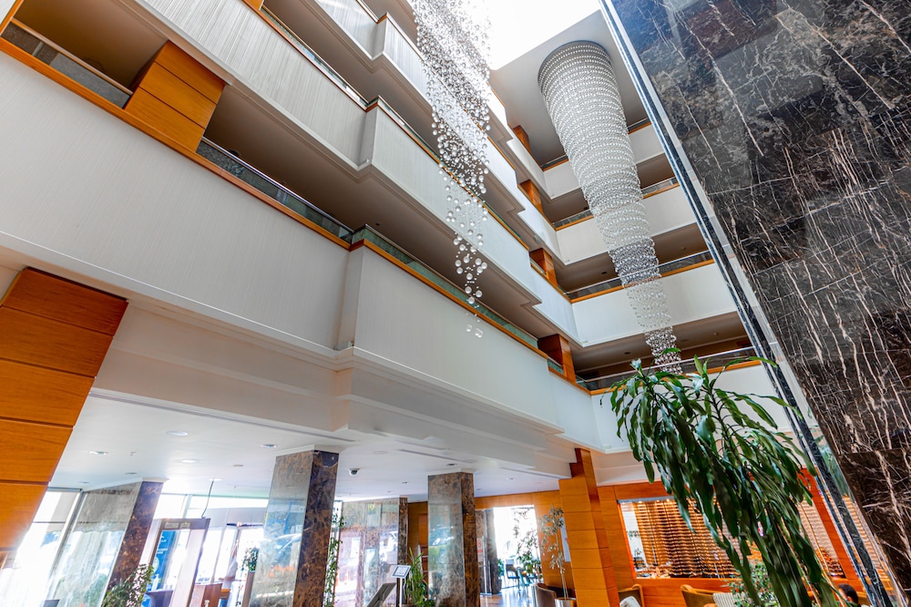 Ankara Plaza Hotel 6/66