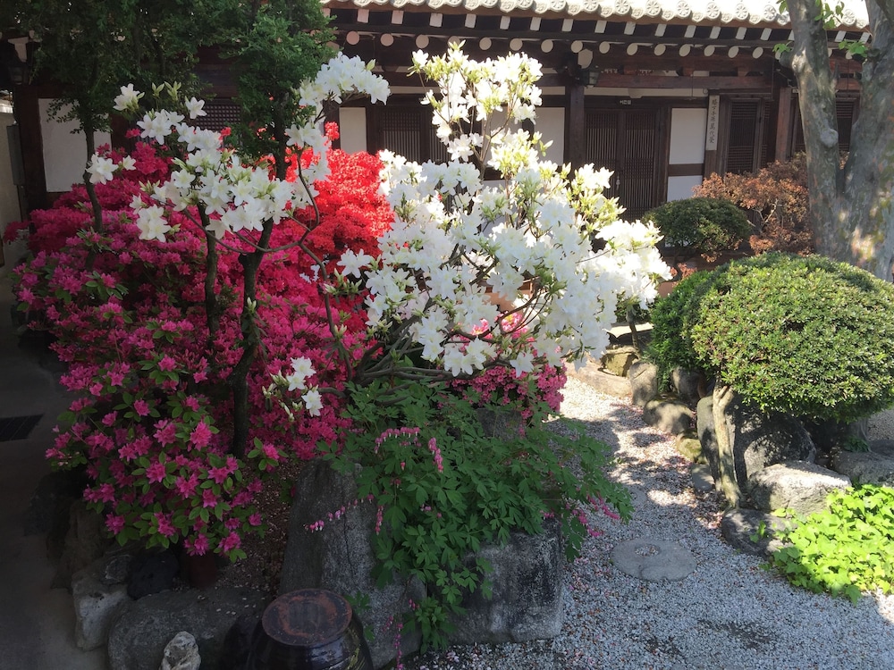 Taejomaru 16/28