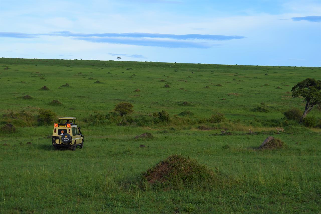 Mara Serena Safari Lodge 73/77