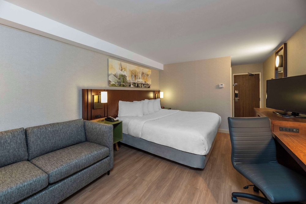 Upgrade, King Bed, Courtyard View, Ground Floor, Comfort Inn Sault Ste Marie ON 6/8
