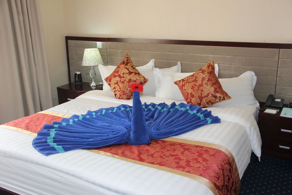 Soluxe Cairo Hotel 19/50