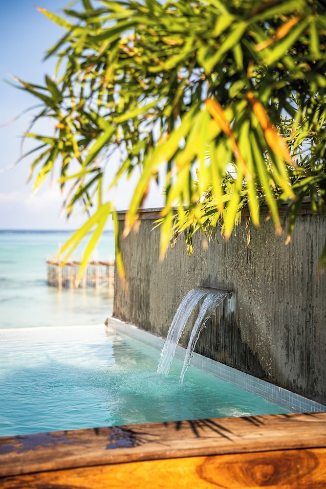 Bamboo Zanzibar 42/49