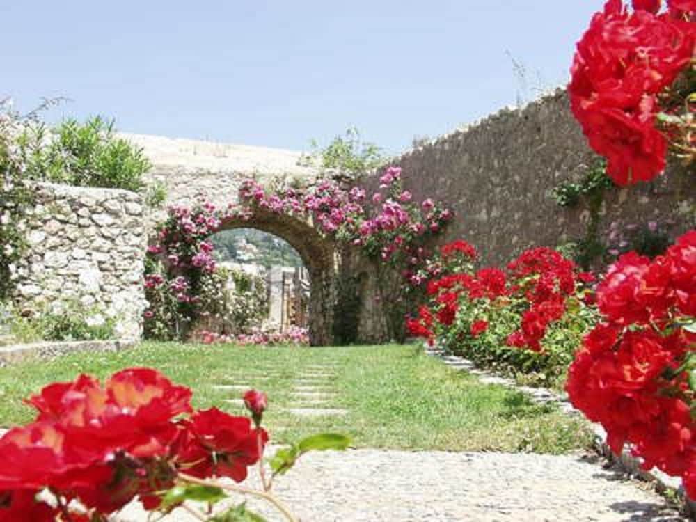 La Flore 63/64