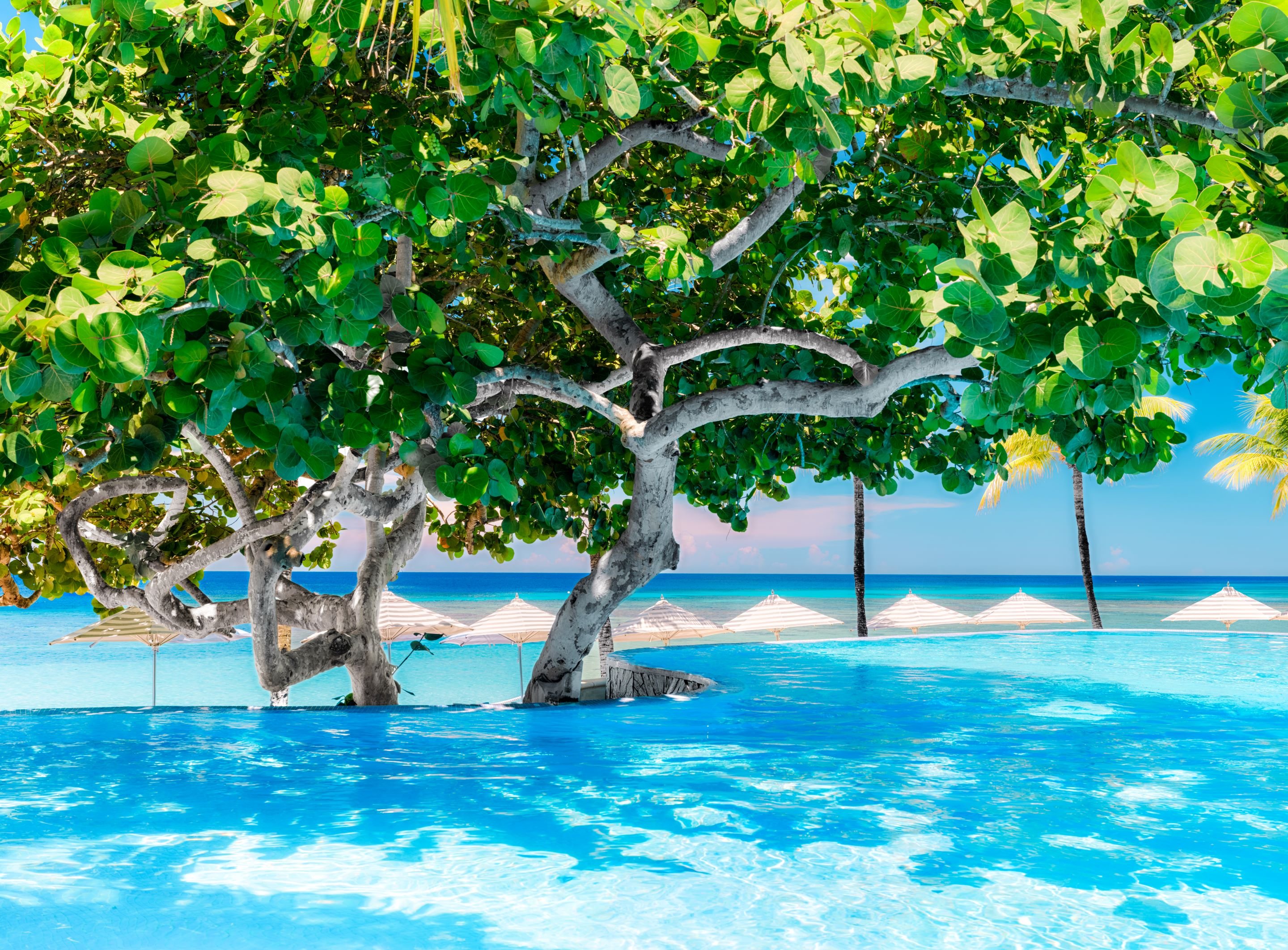 Kimpton Grand Roatan Resort and Spa 59/62