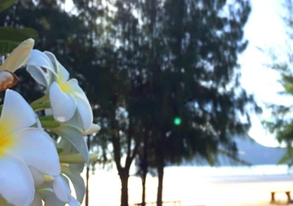 Baan Golden Resort 40/50