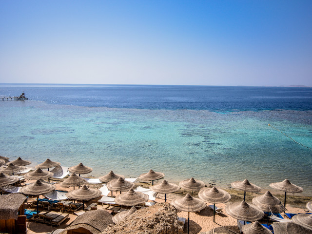 Dive Inn Resort 100/107