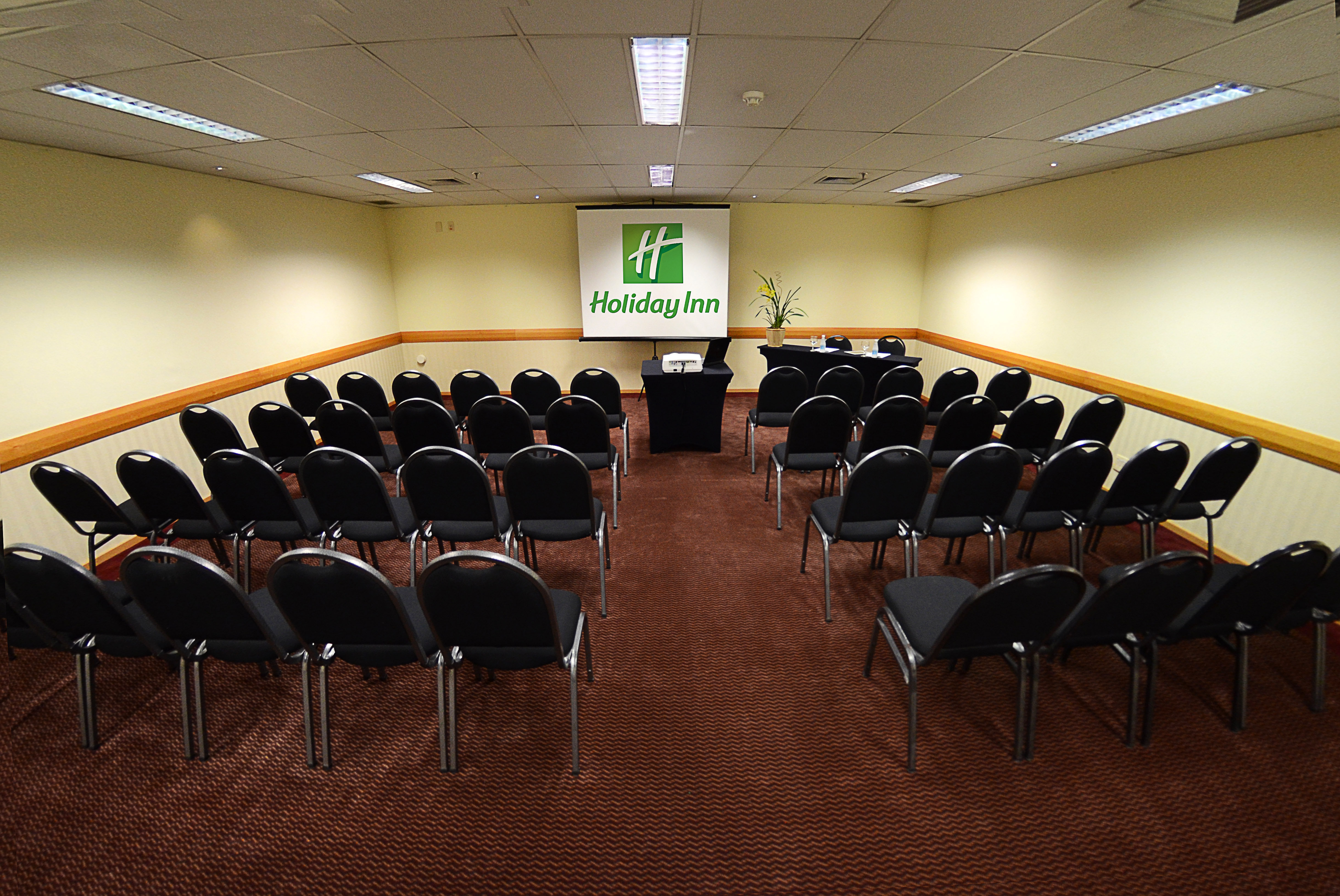 Holiday Inn Sao Paulo Parque Anhembi 67/79