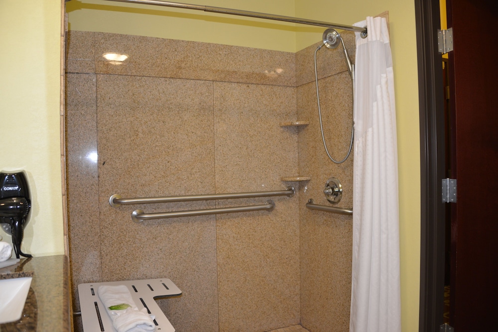 Holiday Inn Express Hotel Suites Dumas 26/72