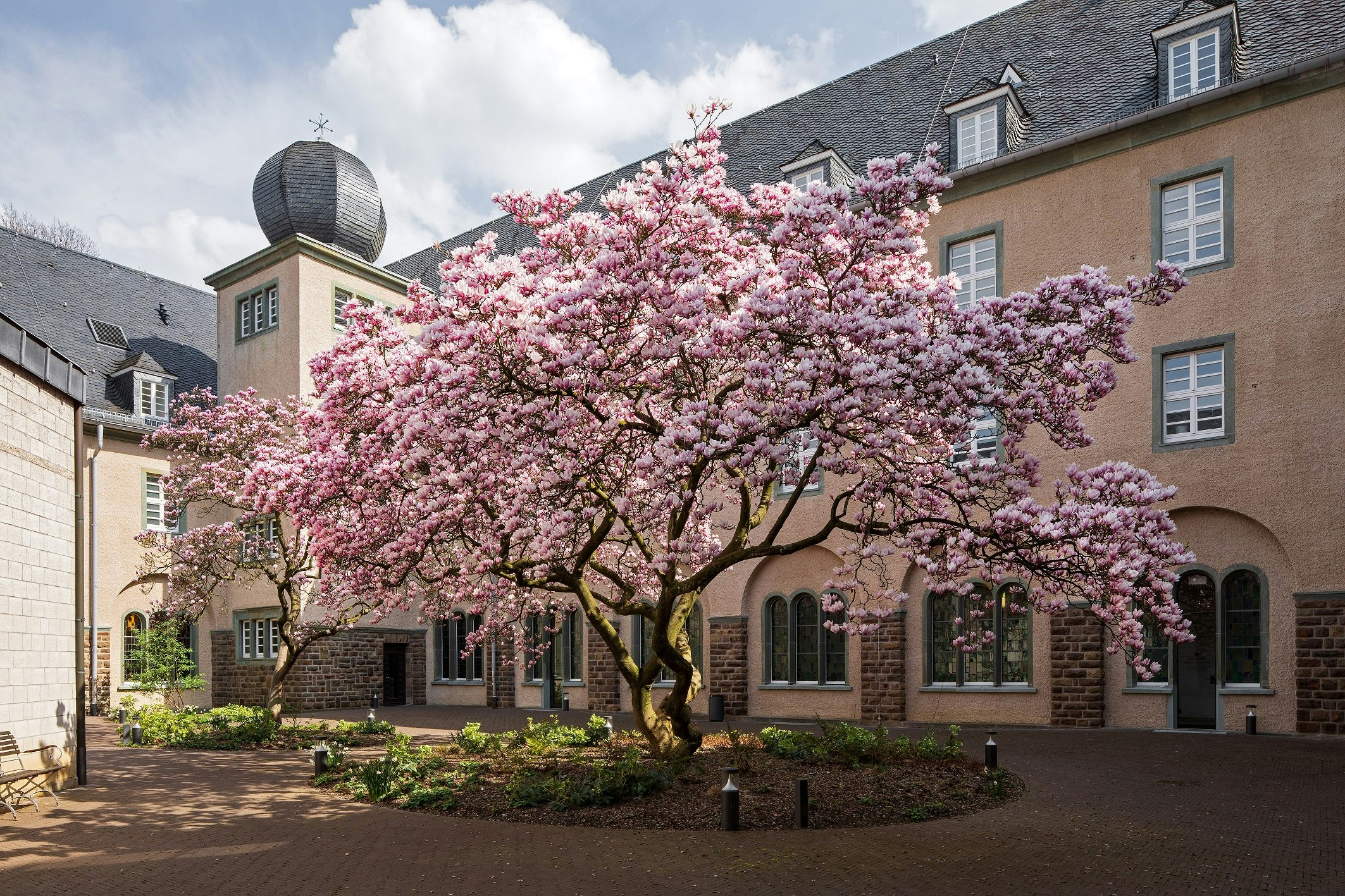 Kardinal Schulte Haus 21/23