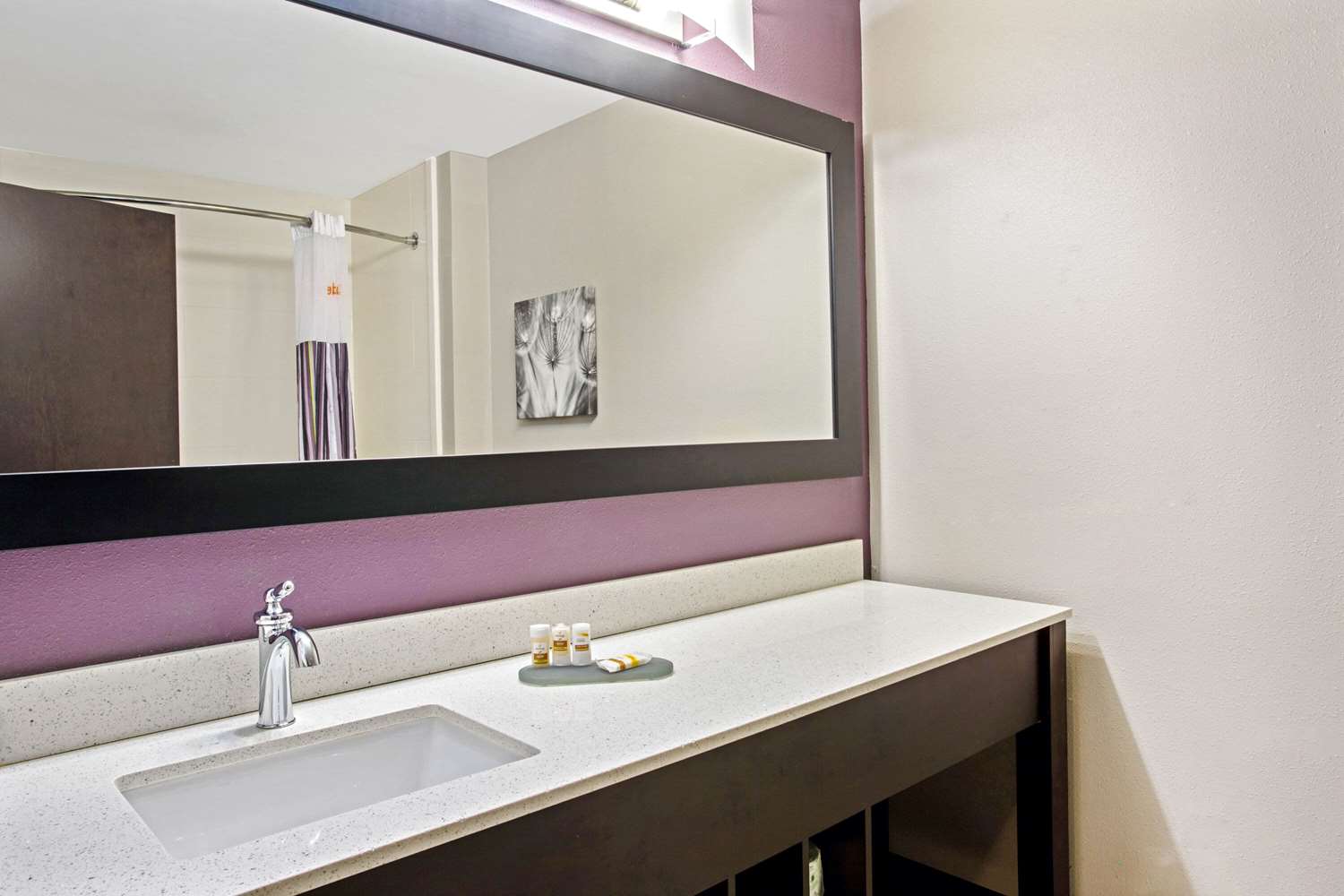 La Quinta Inn Suites By Wyndham York 50/53