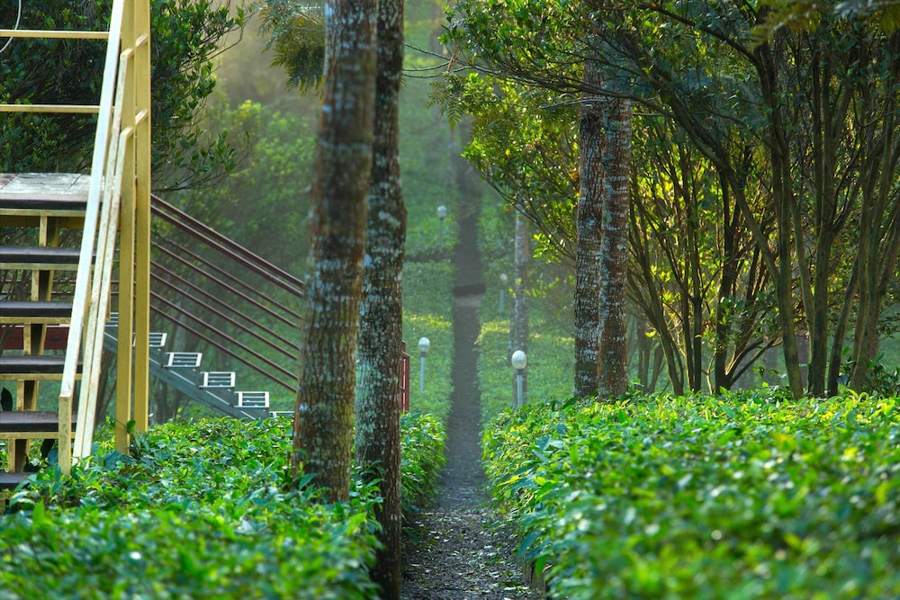 Dream Catcher Plantation Resort 40/50