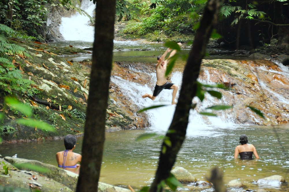 The Dusun 39/50