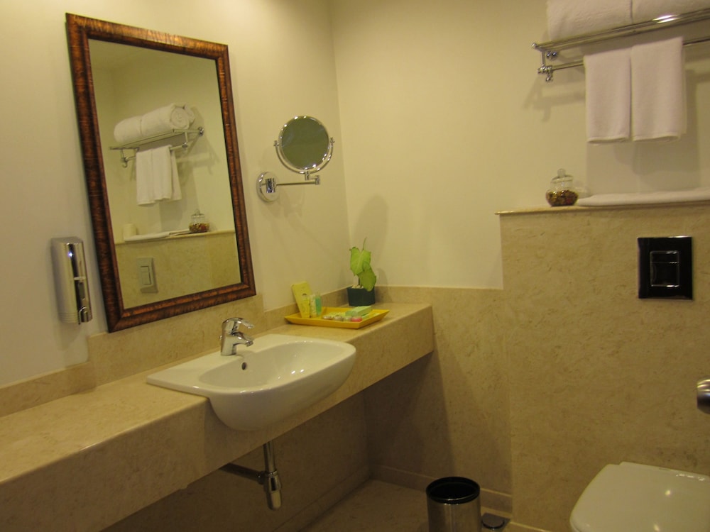 Lemon Tree Premier Hitec City 43/61