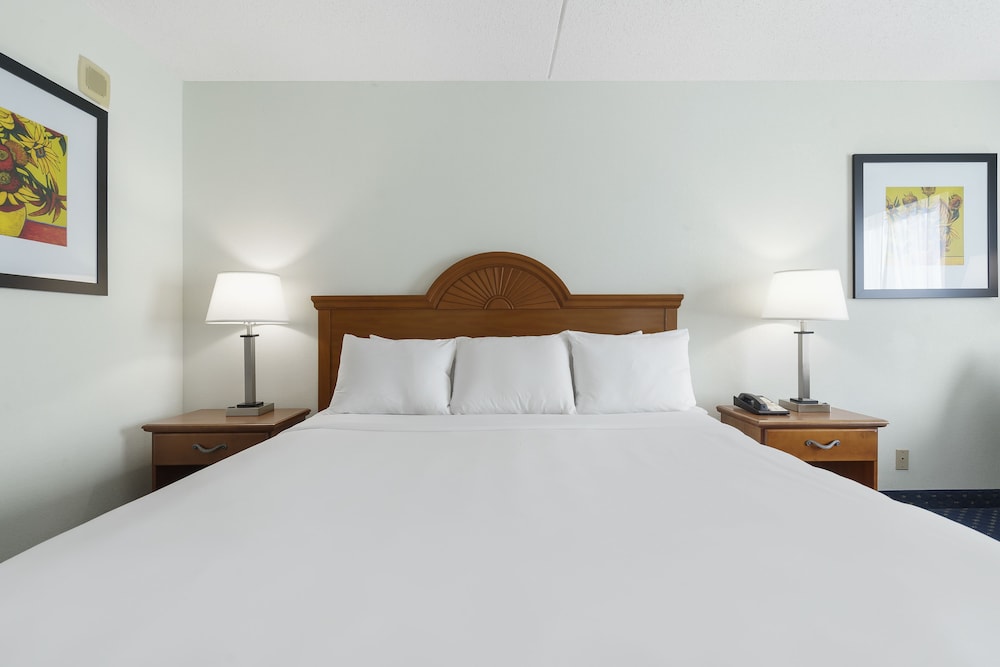 BUSINESS, KING BED