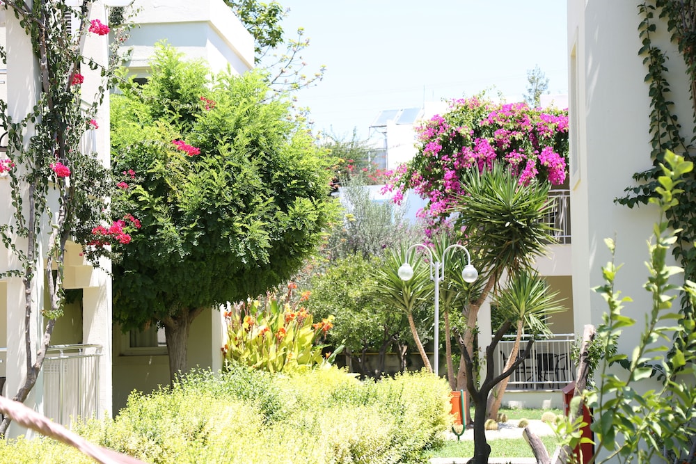Mandarin Resort Hotel 62/66