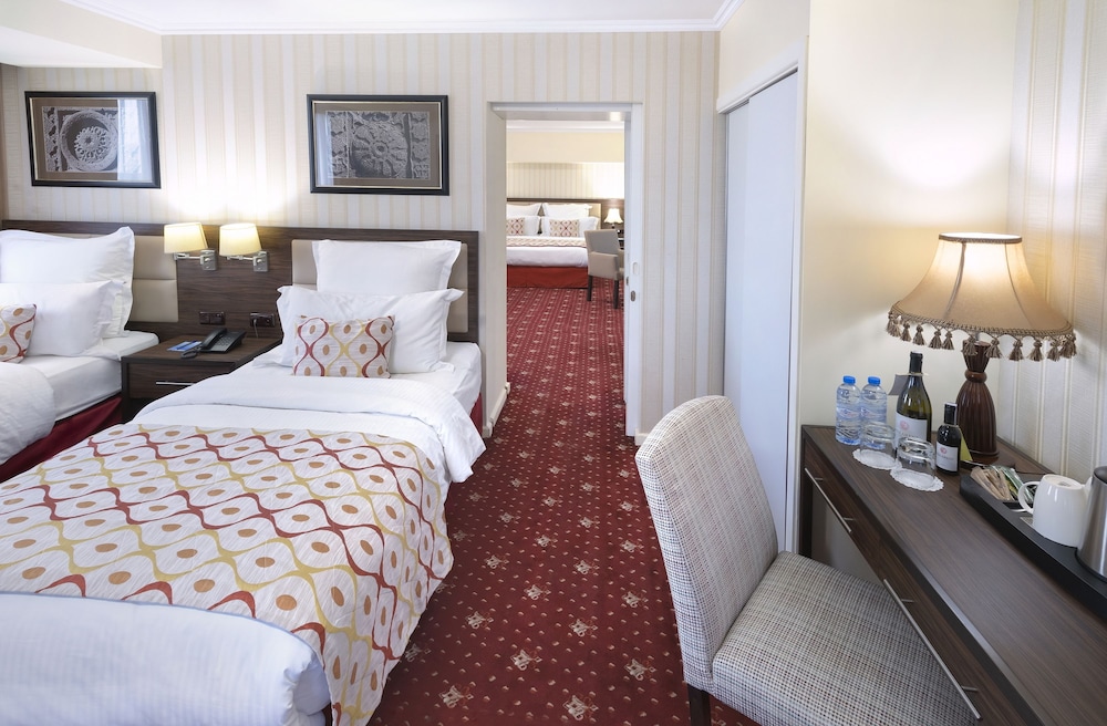 ANI PLAZA HOTEL 6/56