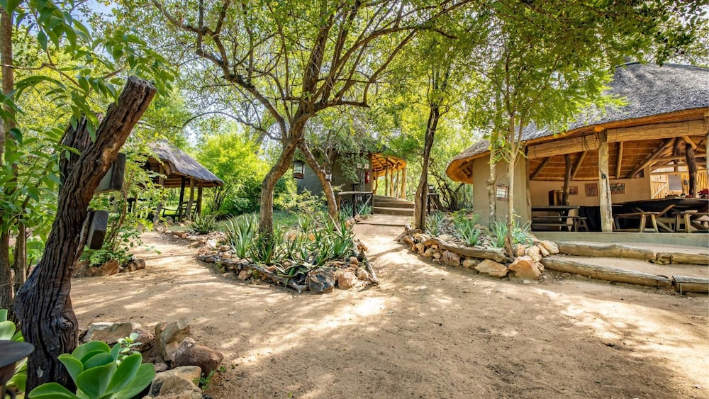 Umlani Bushcamp - Lodge 34/50